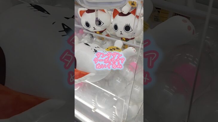 クレーンゲームチャレンジ #クレーンゲーム #クレゲー #ufoキャッチャー #ダンダダン #ターボババア #ぬいぐるみ #攻略 #クソだらぁ #オトノケ #taidada #shorts