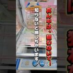 【 クレーンゲーム 】真ん中は狙わないで！ちいかわクリーナー攻略！#クレーンゲーム#ufoキャッチャー #ufoキャッチャー