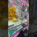 #ufoキャッチャー #カイリュー #ポケモン #クレーンゲーム #クレーンゲームのコツ #ufoキャッチャー動画 #ufoキャッチャー攻略 #ゲームセンター #三本爪 #ゲームセンター実戦