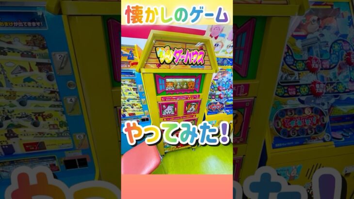 #レトロゲーム　#アーケードゲーム #懐かしい #ゲームセンター　#ワンダーハウス　#犬　#ufoキャッチャー #配信 #クレーンゲーム #女性vtuber #女性配信  #honeyworks