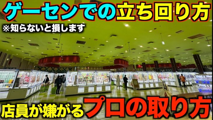 【クレーンゲーム】８割が知らずに損している！ゲームセンターでの完璧な立ち回り方！転売ヤーに完全密着！！