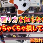 【クレーンゲーム】デカ箱は寄せて投げてゲットしよう！！【橋渡し】