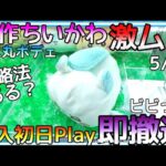 まん丸ボデェに攻略法なし!?沼確定する前に勇気ある撤退!!新作ちいかわから逃げた結果がヤバかった