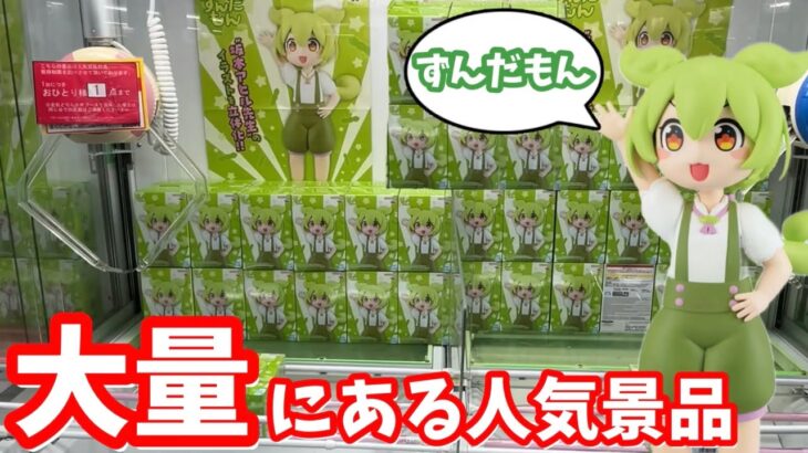 【ずんだもん】話題の人気景品を大量在庫のお店で挑戦してみた結果【ベネクス川越店】【クレーンゲーム】