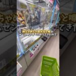 【ゲーセン】千葉県の取れると噂のゲーセンがほんとに取れるのか調査しました。(クレーンゲーム)