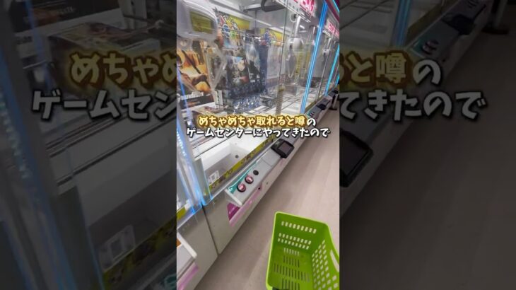 【ゲーセン】千葉県の取れると噂のゲーセンがほんとに取れるのか調査しました。(クレーンゲーム)