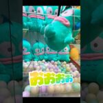 【クレーンゲーム】でっかいハンギョドン
