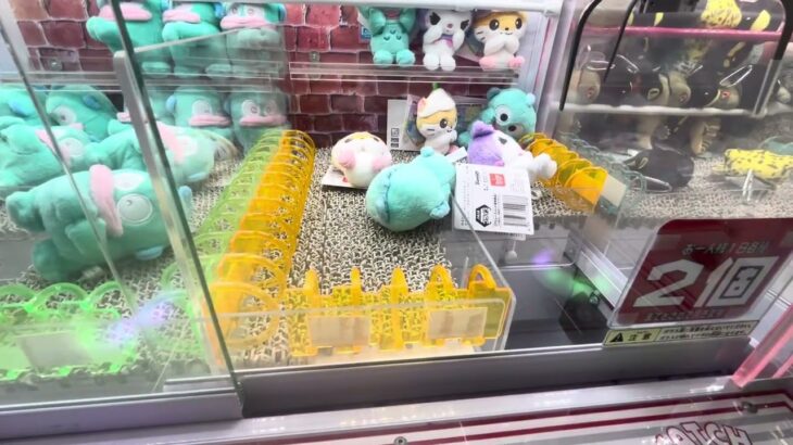 【クレーンゲーム】ハンギョドンぬいぐるみ