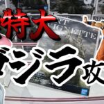 【クレーンゲーム】超特大・超重量 アートヴィネット ゴジラ 攻略