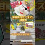 激甘ブースにたぬ挑戦⭐️#万代書店川越店 #クレーンゲーム #プライズ景品 #ねこ