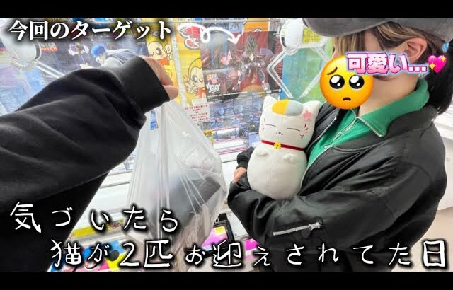 【捨て猫?】ゲームセンターでお散歩してたら監禁された猫発見した年下彼女はお迎えを決意しました🥺