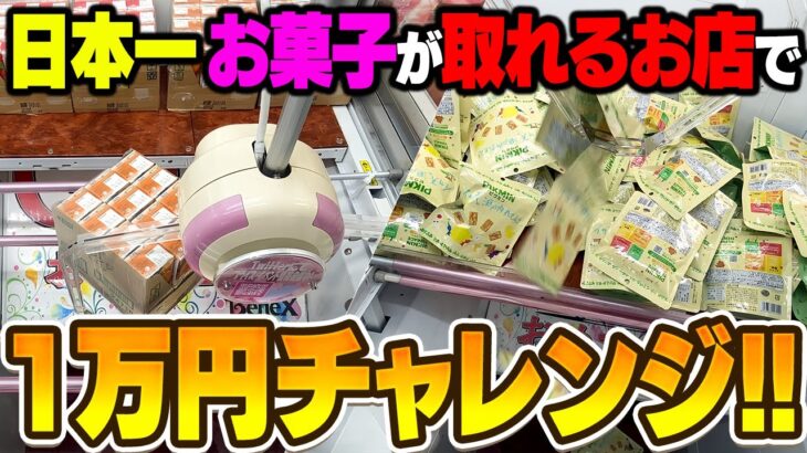 【川崎ベネクス】素人が本気チャレンジ！お菓子は何個取れる？