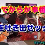 【クレーンゲーム】チャンスはまだある！！諦めないで！！【鬼滅の刃】【ナルト】