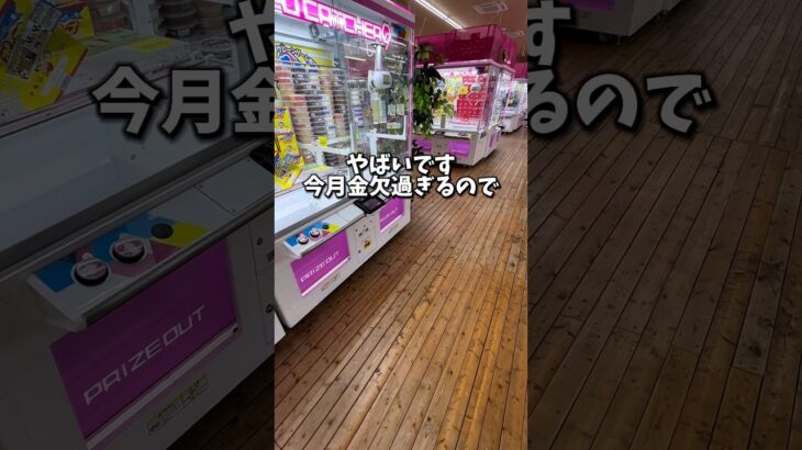 【ゲーセン】今月金欠過ぎるのでゲーセンで食費を浮かせられるのか挑戦しました。(クレーンゲーム)
