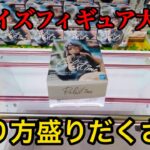 【クレーンゲーム】プライズフィギュア大攻略してみた‼︎