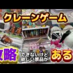 【暇だったのでゲームセンターに欲しい景品を取りに行った】