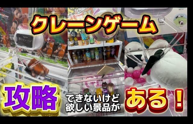 【暇だったのでゲームセンターに欲しい景品を取りに行った】
