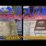 「クレーンゲーム」ベネクス川越の景品はほぼなんでもある⁉️