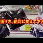 【クレーンゲーム】何をしても獲れる!!やはり力こそパワー!!【橋渡し】