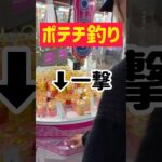 【お菓子攻略】よーく狙って一撃ポテチ釣り！！