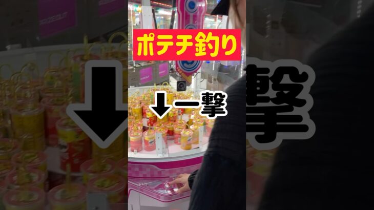 【お菓子攻略】よーく狙って一撃ポテチ釣り！！