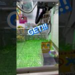 ちいかわ ぷっくりったい キーホルダー 自力確率無視攻略✨️#クレゲ#クレーンゲーム#確率機#ちいかわ