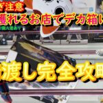 【クレーンゲーム】デカ箱は寄せて投げてゲットしよう！！【橋渡し】