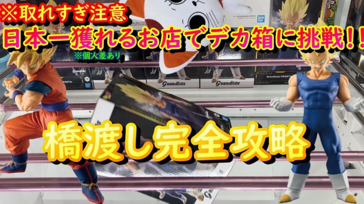 【クレーンゲーム】デカ箱は寄せて投げてゲットしよう！！【橋渡し】