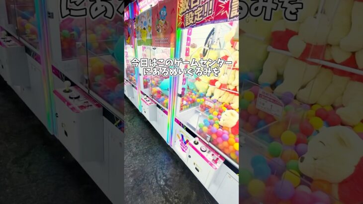 【ゲーセン】確率機を全ブース挑戦した結果がヤバすぎた