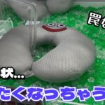 【クレーンゲーム】こんなの絶対やりたくなっちゃう、迂闊に手を出したら大変なことに！？