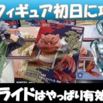 【クレーンゲーム】新景品早速取りに行ってみた☺
