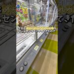【ゲーセン】取れすぎると噂のゲーセンで袋パンパンになるまで景品取ってみました。(クレーンゲーム)