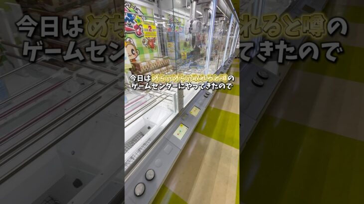 【ゲーセン】取れすぎると噂のゲーセンで袋パンパンになるまで景品取ってみました。(クレーンゲーム)