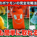 【クレーンゲーム】初心者必見！誰でも簡単に攻略できるポケモンの新作ぬいぐるみ７選！