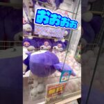 でっかいクロミが取れるぅ？【クレーンゲーム】
