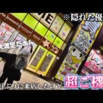 【日常】クレーンゲーム攻略に苦手意識がなくなってきて今日は上機嫌らしいです笑