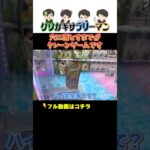 【クレーンゲーム】クレーンゲーマーの掟