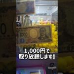 【乱獲w】ひよこキャッチャー1,000円分してみたら奇跡起きたw #クレーンゲーム #UFOキャッチャー #ゲームセンター