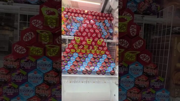 クレーンゲームで景品ゲット~wwこの日はおもいっきり赤字でした……