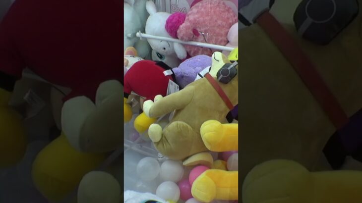 乱雑ぬいぐるみ確率機で実力で取れるのかやってみたww#クレーンゲーム