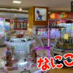 全てが取りやすい赤字まみれの不思議ゲーセン発見したww【クレーンゲーム／UFOキャッチャー】