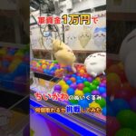 プロが本気を出したらこうなるwww #ufoキャッチャー #ゲーセン #ゲームセンター #arcade #clawmachine #日本夾娃娃
