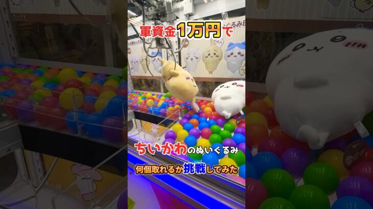プロが本気を出したらこうなるwww #ufoキャッチャー #ゲーセン #ゲームセンター #arcade #clawmachine #日本夾娃娃