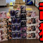 【乱獲】あり得ないくらい景品が獲れる大赤字覚悟のゲーセンがやばすぎたwww【クレーンゲーム】【UFOキャッチャー】