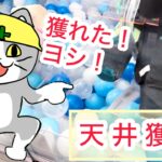 【ベネクス平塚】初心者がぬいぐるみ狙ったら沼った件wwwww#クレーンゲーム #クレゲ #ゲームセンター #ゲーセン #ufoキャッチャー #橋渡し