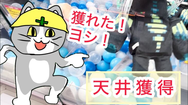 【ベネクス平塚】初心者がぬいぐるみ狙ったら沼った件wwwww#クレーンゲーム #クレゲ #ゲームセンター #ゲーセン #ufoキャッチャー #橋渡し