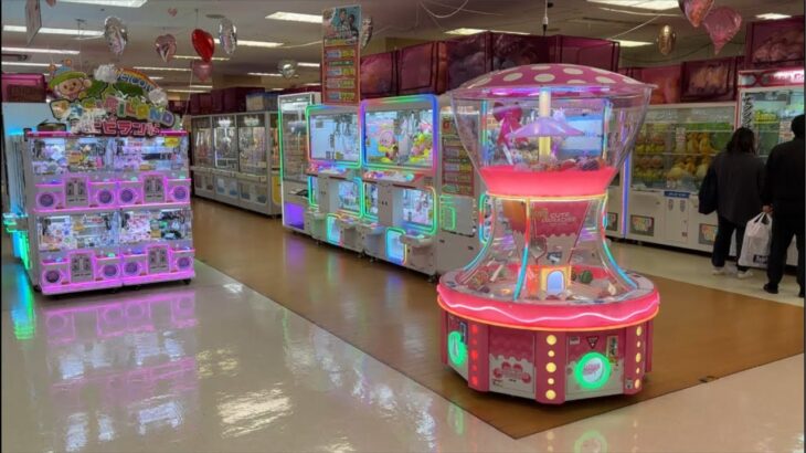 1年ぶりにリニューアルしたあのゲーセンに突撃します！！！