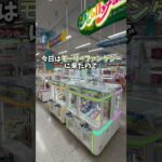 【ゲーセン】取れないと噂のモーリーファンタジーで1000円チャレンジしてみました。(クレーンゲーム)