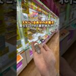 【ゲーセン】会社の上司に1000円でお菓子買ってこいって言われたのでゲーセンで調達してみました。(クレーンゲーム)