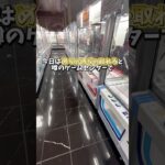 【ゲーセン】めちゃめちゃ取れると噂のゲーセンで1000円で景品何個取れるか検証してみました。(クレーンゲーム)